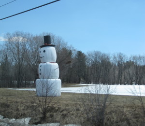 This friendly towering snow figure, made from bales of hay, was in a winter field near Farmington, early April 2014.